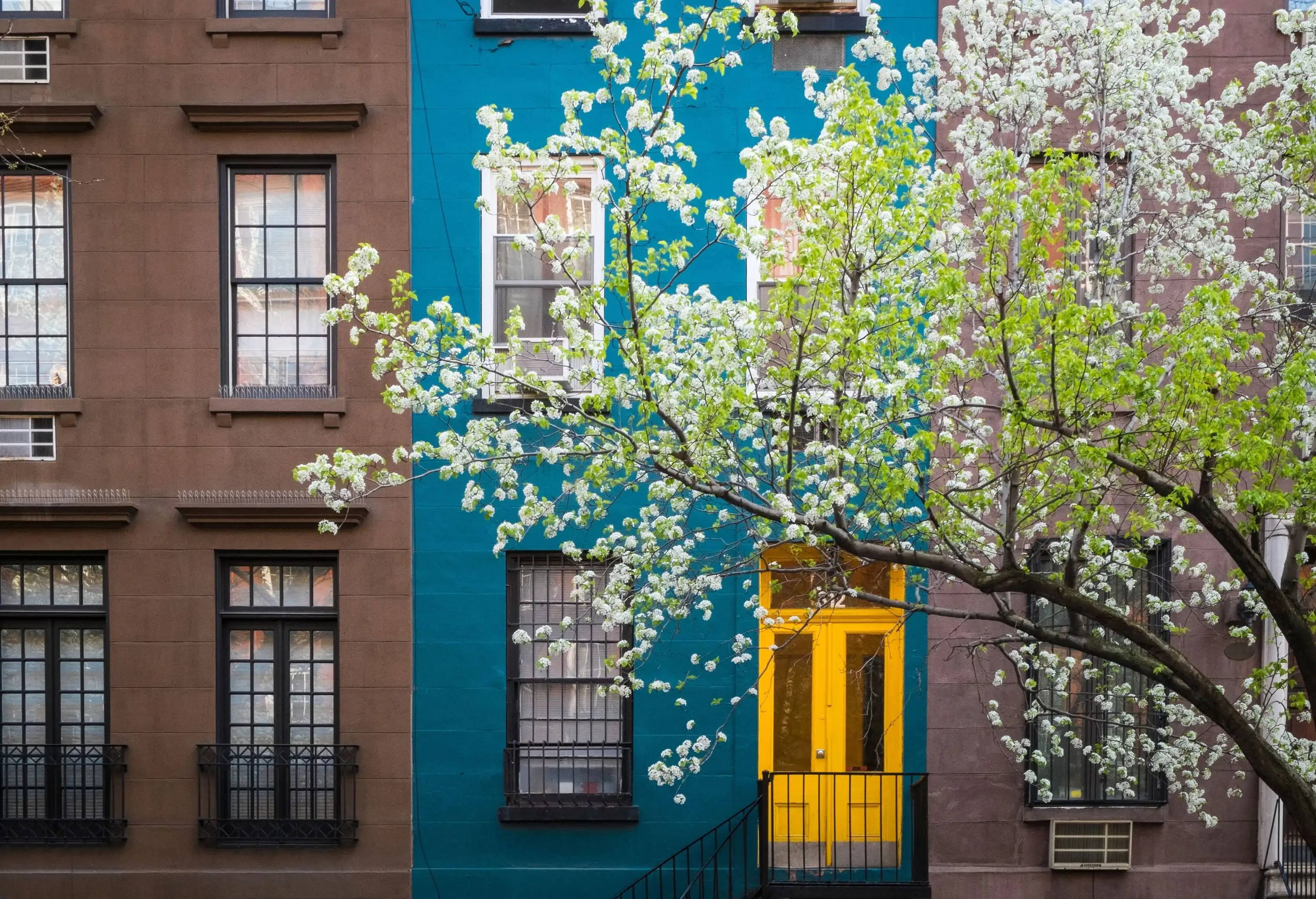 Flowering tree in front of a blue apartment complex with a yellow door.